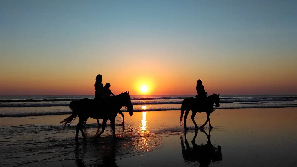 Horse Riding on the Beach Trips & Excursions from Cala Bona Mallorca